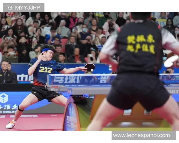 聚焦乒乓球：探讨深圳乒乓球队的技术创新与训练方法